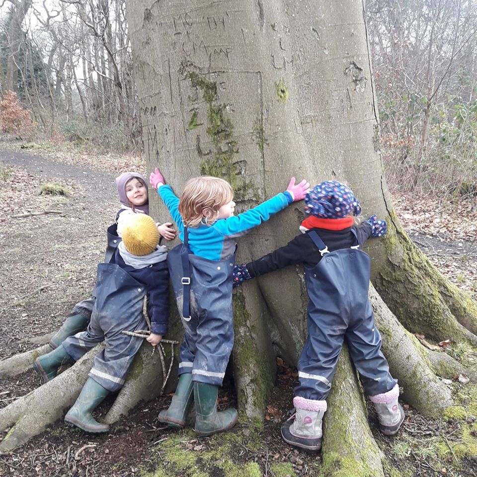 measuring tree width