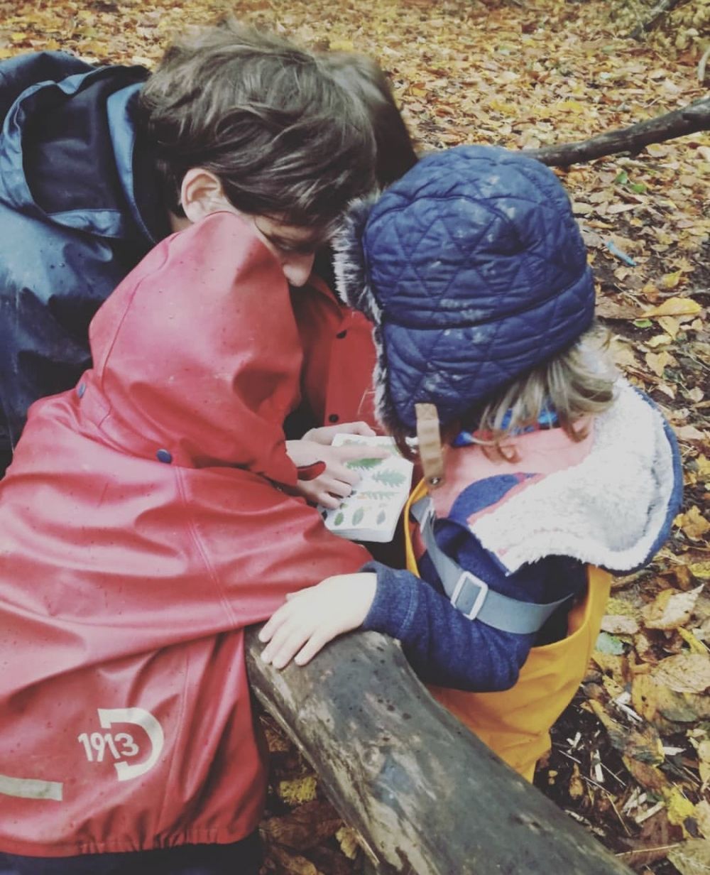 Reading for learning